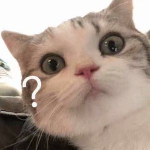 撕开她的胸罩猛吸奶头的视频
