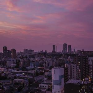 撕开她的胸罩猛吸奶头的视频
